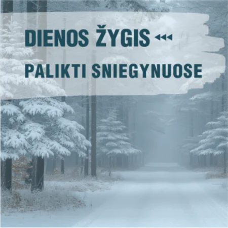 Dienos žygis Rukloje