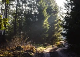 Gebėjimas veikti, kai kiti sustoja