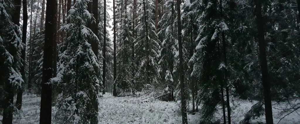 „Ledo takas“: 13 metų nuo pirmojo žingsnio 1 20210109 082224 Medium