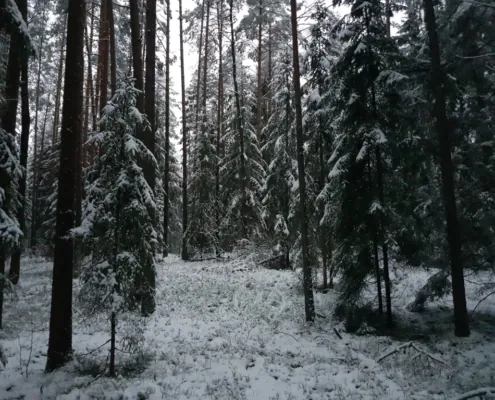 20210109 082224 Medium