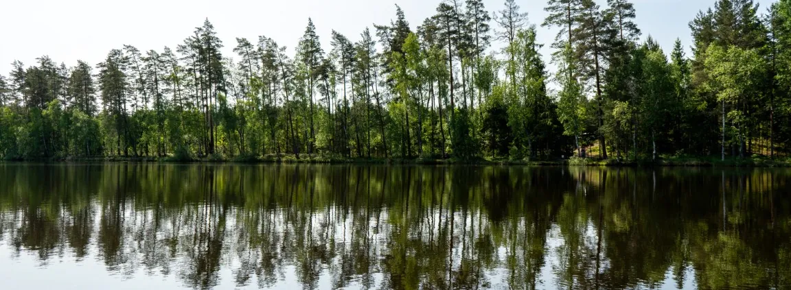 Išgyvenimo žygis: patirtis, kuri pakeičia tavo ribas