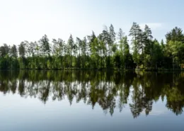 Išgyvenimo žygis: patirtis, kuri pakeičia tavo ribas