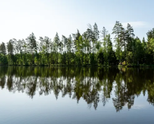 Išgyvenimo žygis: patirtis, kuri pakeičia tavo ribas