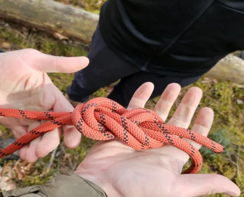 20240511 094422 Custom