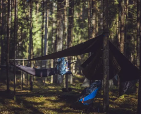 Savaitgalio žygis 2026