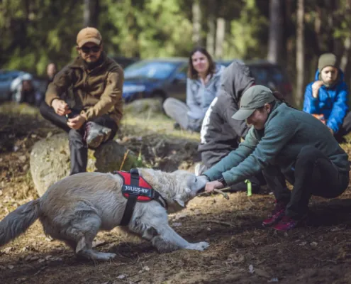 Savaitgalio žygis 2026